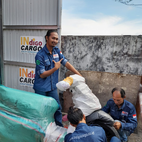 packing motor indigo cargo